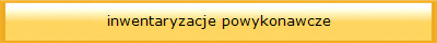 inwentaryzacje powykonawcze
